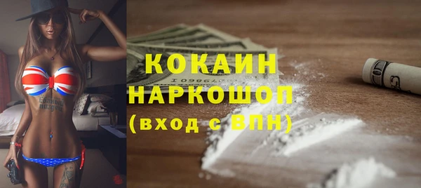 шишки Армянск