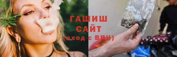 шишки Армянск