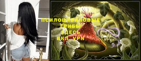 PSILOCYBIN Аркадак