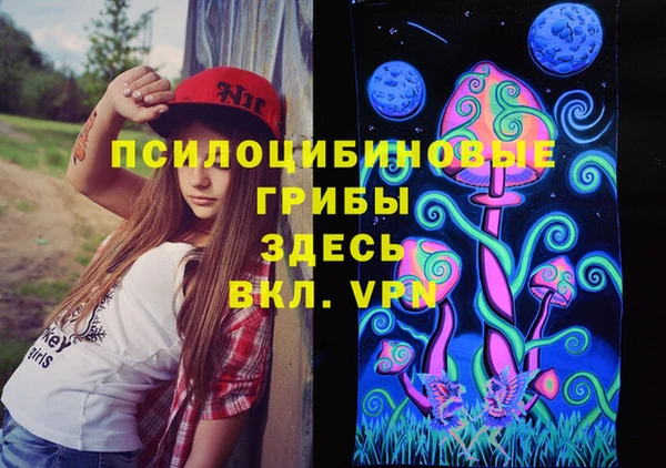 шишки Армянск