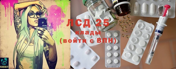 PSILOCYBIN Аркадак